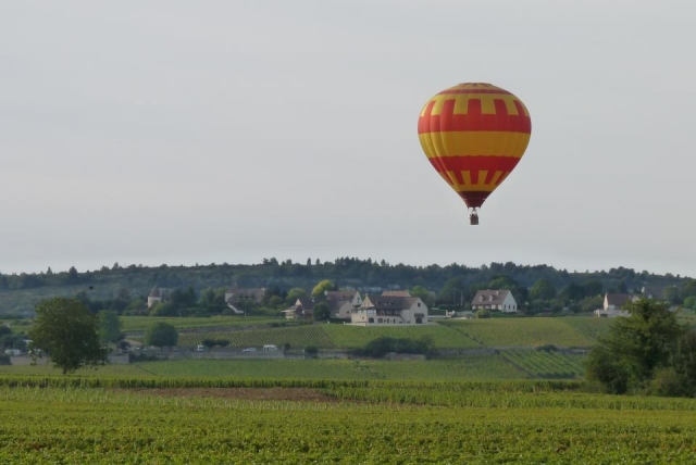  Vuelo sobre el viñedo de Meursault 